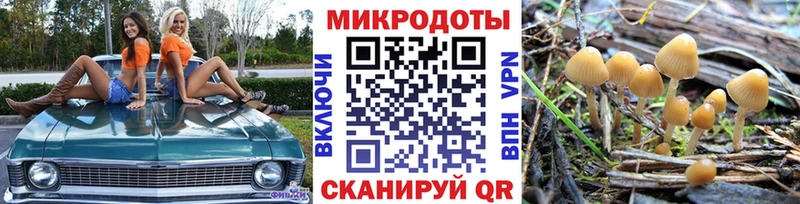 Псилоцибиновые грибы Magic Shrooms  где найти   Болотное 
